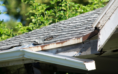How Fall Weather Can Shorten Your Roof’s Lifespan (and What to Do About It)